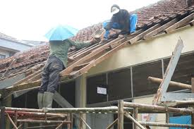 home-hero